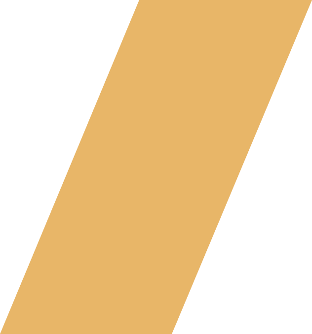 Cestlem VTC Service de Taxi Fiable